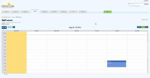 Staff Leave Calendar